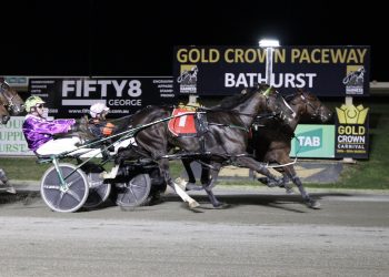 Gold Bracelet and Chalice finals run and won