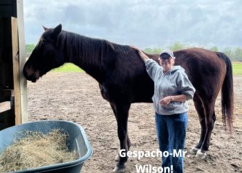 Fabulous weekend for SRF