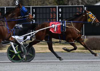 Levine scores in both Saratoga features