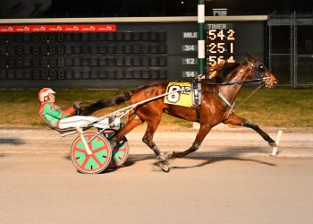 I Get It upsets in Open Trot