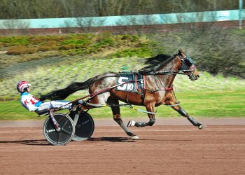 Islandspecialmajor posts upset in Game Of Claims Series