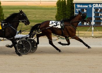 7-1 shot takes London Preferred