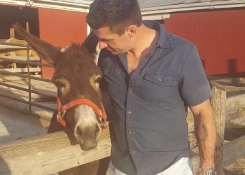 Second Story Foundation a solid longshot