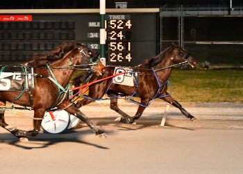 Back-to-back Opens for Jody