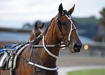 Bidding ends tonight from 7pm on 12 Lot Auction