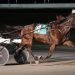 No Mas Drama romps in Yonkers Invitational