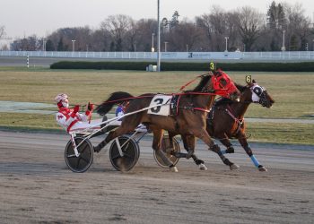 Explosive Ridge, By A Hoff Hanover take NAADA opener at Yonkers