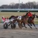 Explosive Ridge, By A Hoff Hanover take NAADA opener at Yonkers