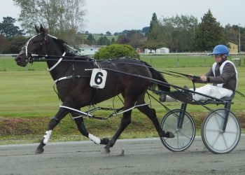 Louies Girl all class in Oaks heat