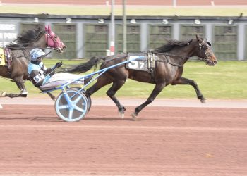 Both trotting features to Burke Stable