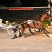 $51,200 Delaware Late Closer Final held