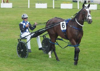 Well-tuned Stonewall filly too sharp