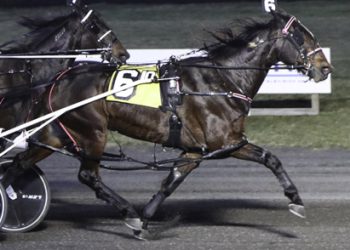 Nandolo N gets the call in Yonkers Invitational