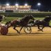 Red Mile Championship night features a rare pick eight 1 Sunday night racing returns to Red Mile