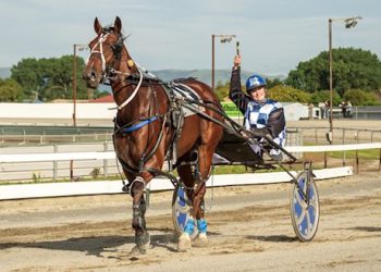 Bidding ends tonight from 7pm on 12 Lot Auction