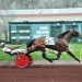 Nob Hill Flash, Ithaca Hanover sweep GOC preliminaries at Pocono