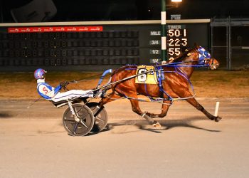 Three straight for Penzance Hanover
