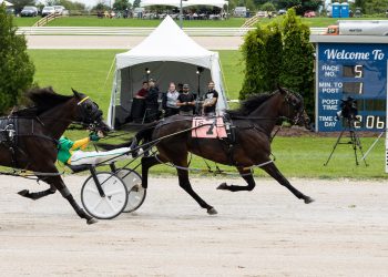 Premier Delight goes back-to-back in Preferred shocker