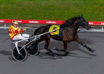 Rockinwithattitude locked in for The Great Square