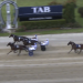 Captaintreacherous quinella, Purdon/Phelan trifecta in 2YO Fillies Young Guns heat