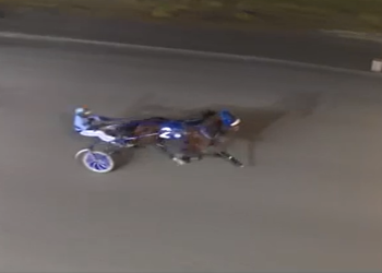 14-1 longshot Outlawelectricblue steals the spotlight at Fraser Downs