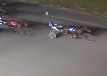 Four in a row for Western Summit