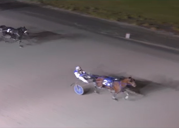 Three straight for Armycaptin Hanover at Fraser Downs