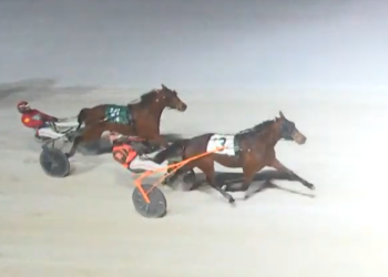 Borth and Bucktober strike again