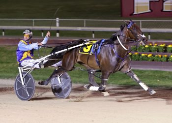 Goose chase over – Robbie gets 500