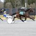 Randall scores grand slam at Saratoga