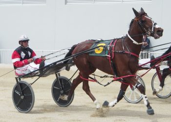 Dunn takes truck loads to Addington