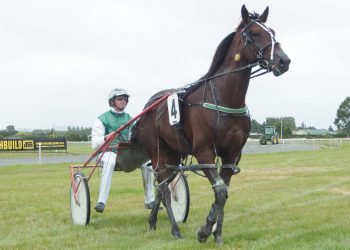 Kindie up for grabs tomorrow