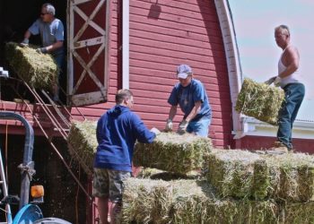 Second Story Foundation a solid longshot