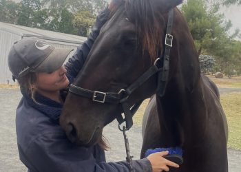 Dunn hoping he has top seed in 2YO Classic