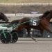 The Meadows hosts start of two trotting series