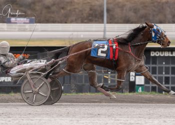 GD Cool Otoole takes Opening Leg of Donna Dunn Memorial