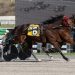 Dead Heat win finish in Open Trot