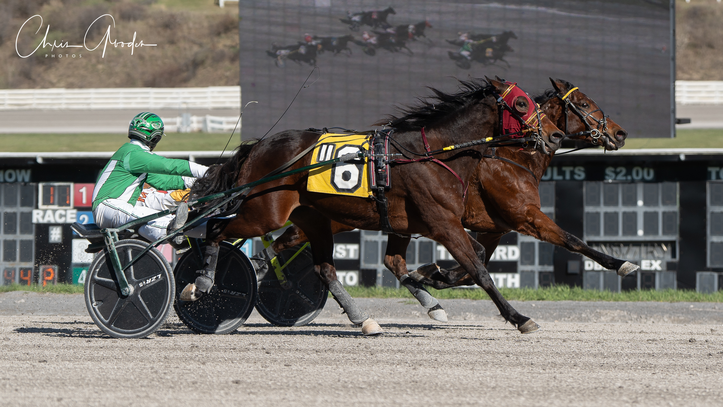 Dead Heat win finish in Open Trot