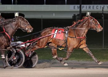 No return winners in Blue Chip Matchmaker Series