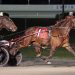 No return winners in Blue Chip Matchmaker Series