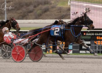 Moneyman Mikki gets second straight score