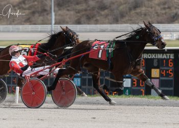 Donna Dunn Memorial splits held