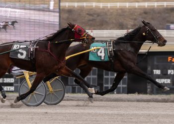 The Meadows hosts co-feature trot & pace