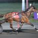 Trackmaster Finals swept by Dexter Dunn