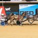 Lord Zarias victorious in Port Pirie Pacing Cup