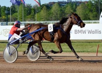 Unbeaten Cardenas Baba sets stakes record