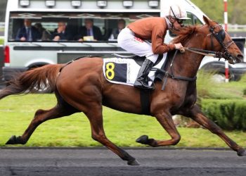 Edition Gema takes 120,000€ monte feature