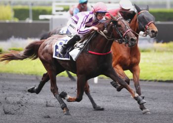 8-1 mild longshot takes 120,000€ monte Group II test