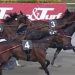 Gocciadoro sweeps 154,000€ Gran Premio Costa Azzura 3 Gocciadoro sweeps 154,000€ Gran Premio Costa Azzura
