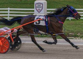 MacDonald continues to uncork double-digit winners